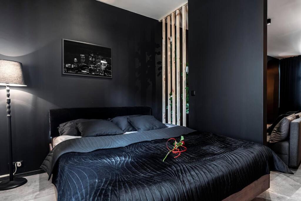 Krakowskie30 Loft1 Deptak 卢布林 外观 照片
