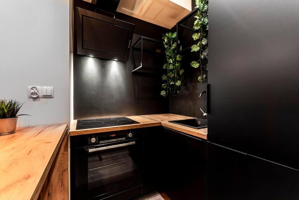 Krakowskie30 Loft1 Deptak 卢布林 外观 照片